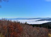 panorama-hirschenstein