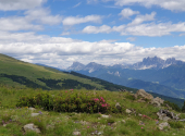 sarntaler-alpen-5_00005